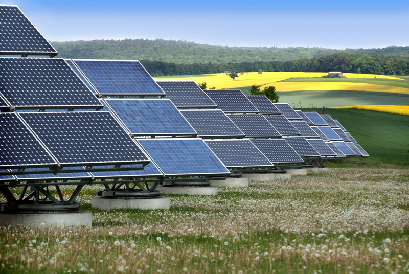 PV-Reinigung - Solarmodule, die auf einer Freifläche stehen. Im Hintergrund sind Felder und Wald zu sehen.